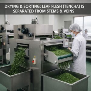 Ceremonial Grade Matcha Powder (30g Tin) | Authentic Japanese Matcha 10 716f1f4b f768 40cf adf0 51eaf16bfcad 1