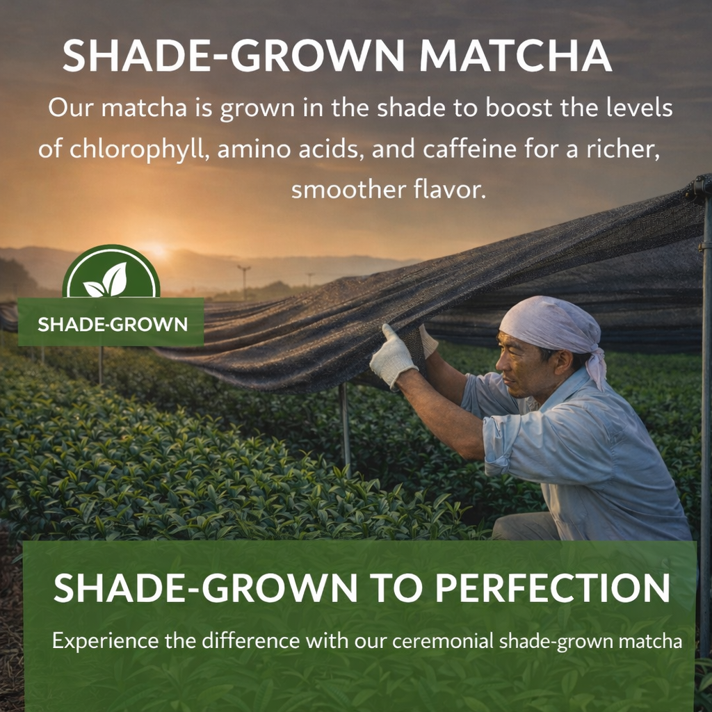 Premium Grade Japanese Matcha Powder 50g | Smooth & Vibrant Matcha 5 premium grade japanese matcha powder – 50g